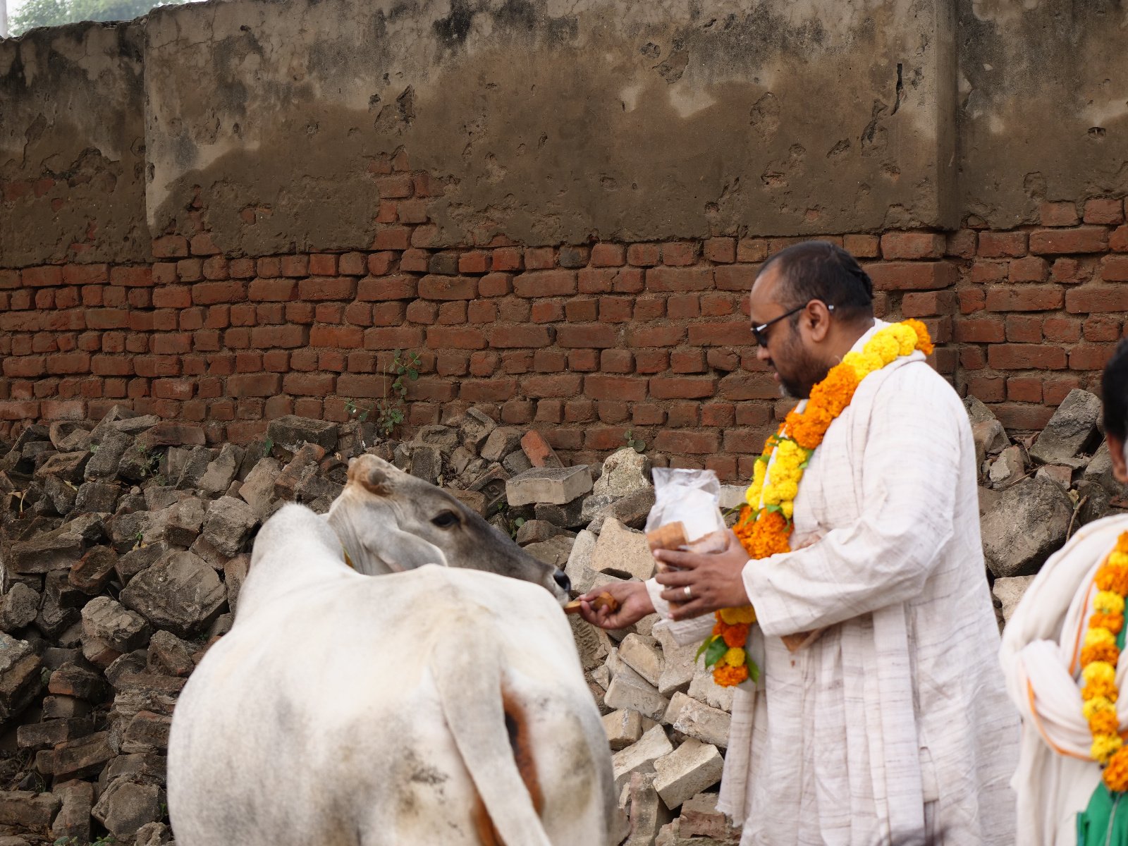  25 Gopashtami Radha kunda Govardhan 19.11.04